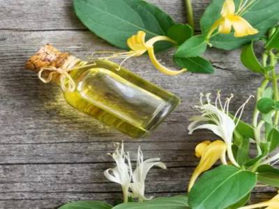 Лучшая Цена,Ароматическая Парфюмерная Свеча Для Эфирных Масел Жимолости,От Поставщика Паровой Дистиллированной Продукции,Производитель Для Экспорта
