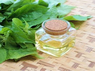 Почему экологически чистое моторное масло лучше для планеты